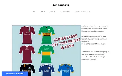 ardfoireann.weebly.com snapshot