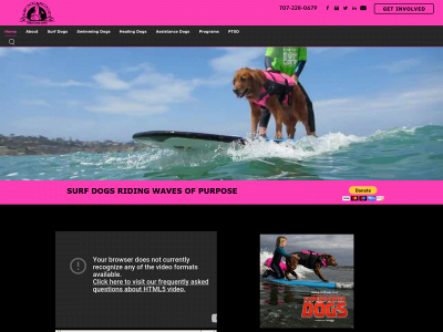 www.surfdogricochet.com snapshot