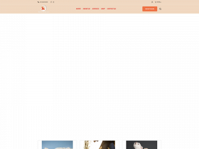 mpsdoha.com snapshot