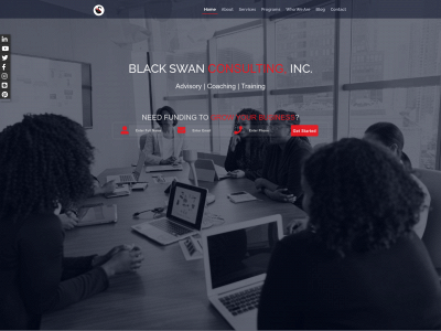 consultblackswan.com snapshot