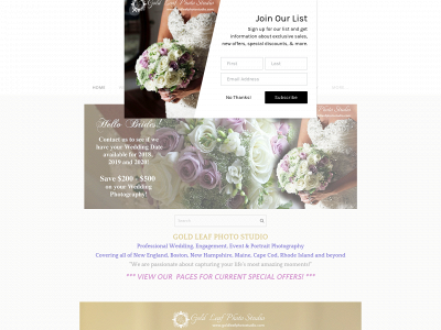 www.goldleafphotostudio.com snapshot