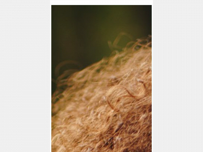 pureinnergee.com snapshot