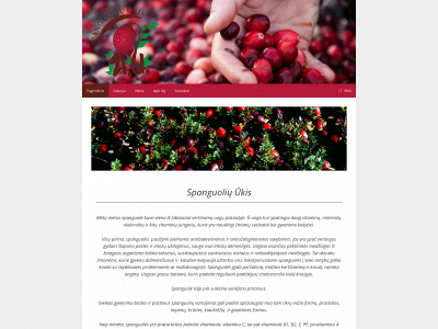 spanguolynas.lt snapshot
