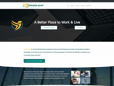 prosperegypt.com snapshot