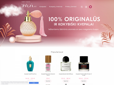 ziuzi.lt snapshot