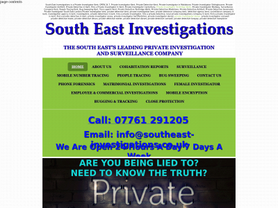 southeast-investigations.co.uk snapshot