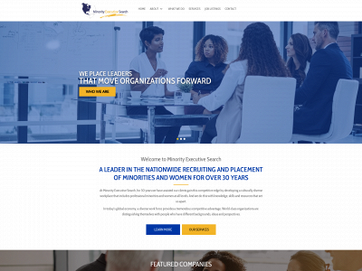 minorityexecsearch.com snapshot
