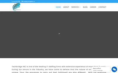 techbridgeinc.io snapshot