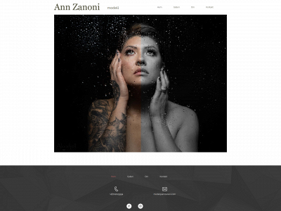 annzanoni.com snapshot