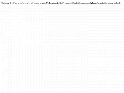 billschiffmacher.com snapshot