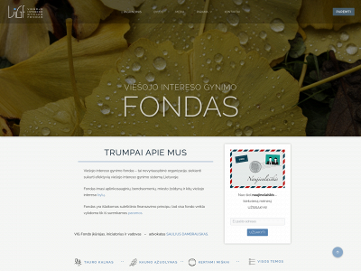 vigfondas.lt snapshot