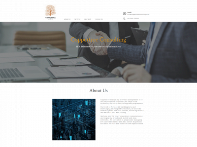 coppertreeconsulting.com snapshot
