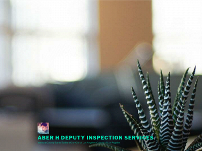 aberhinspections.com snapshot