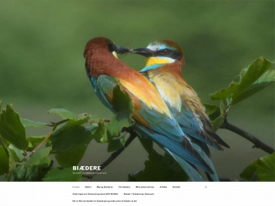 biaederne.dk snapshot