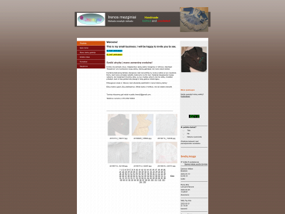 irenosmezginiai.com snapshot