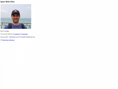 bielevicius.com snapshot