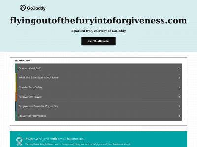 flyingoutofthefuryintoforgiveness.com snapshot