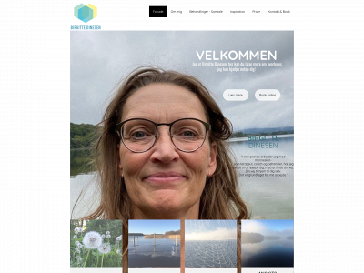 bdinesen.dk snapshot
