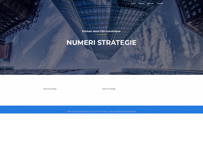 numeristrategie.com snapshot