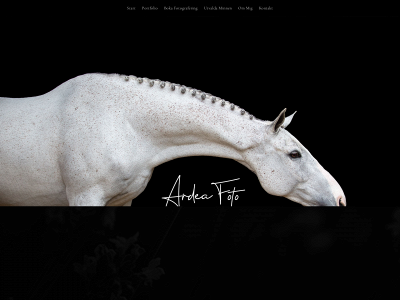 ardeafoto.se snapshot