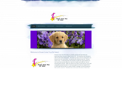 dreamcometruegrooming.com snapshot
