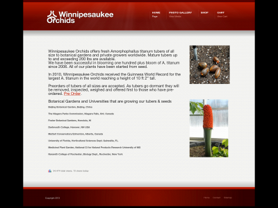 winniorchids.com snapshot