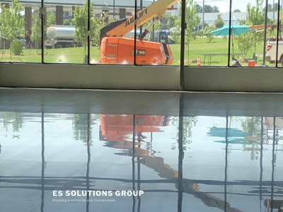 essoultionsgroup.com snapshot