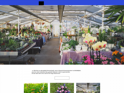 blomsterimiddelfart.dk snapshot