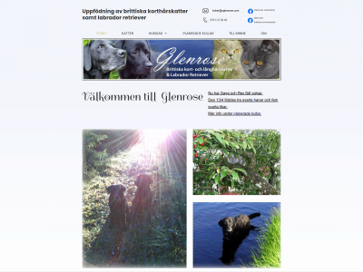 glenrose.se snapshot