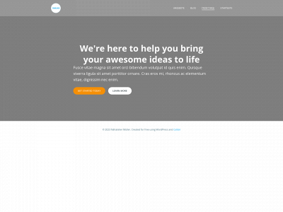 naehateliermueller.ch snapshot