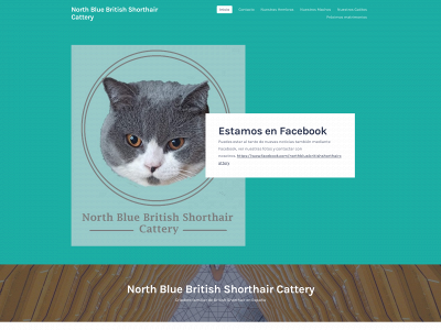 britishnorthblue.com snapshot