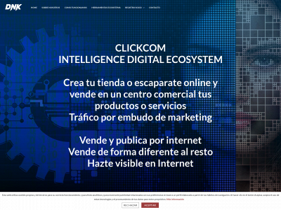 publicomerce.com snapshot