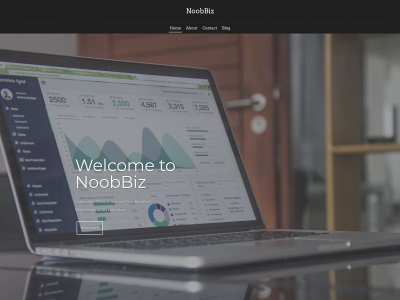 noobbiz.com snapshot
