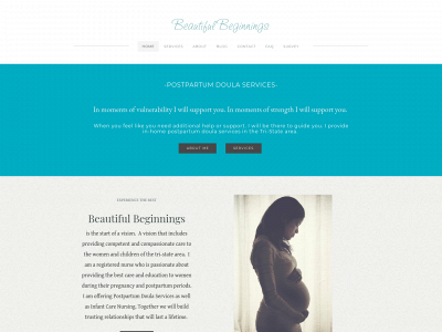beautifulbeginningsky.weebly.com snapshot