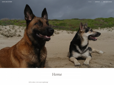 sumiandstorm.com snapshot