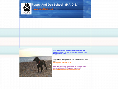 pads2009.co.uk snapshot
