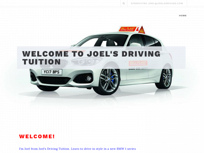 joelsdriving.com snapshot