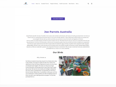 www.joeparrots.com.au snapshot