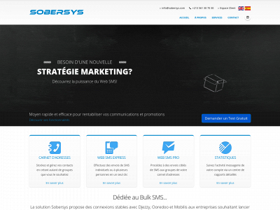 sobersys.com snapshot