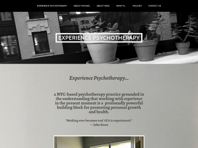 experiencepsychotherapy.com snapshot