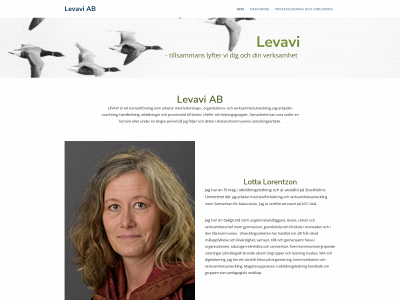 levavi.se snapshot