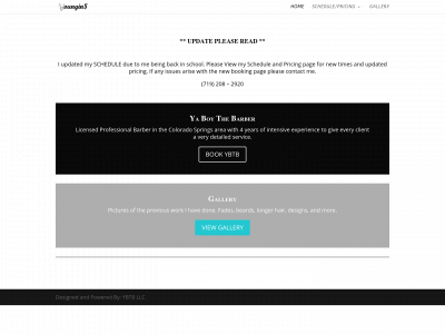 thouisyoung.com snapshot