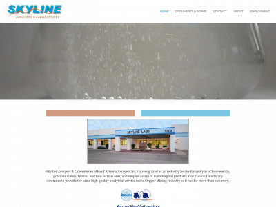 testskylinelabs.weebly.com snapshot