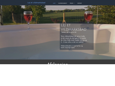 lejetbad.dk snapshot