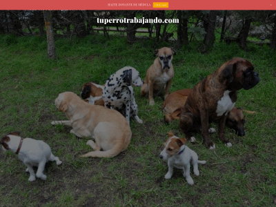 tuperrotrabajando.com snapshot