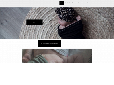 springbloombaby.no snapshot