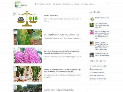 caycanh365.com snapshot