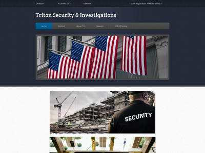 tritonsecurityinv.com snapshot