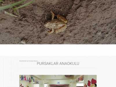 muratankara06.weebly.com snapshot