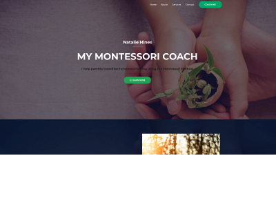 suk.wtv.mybluehost.me snapshot